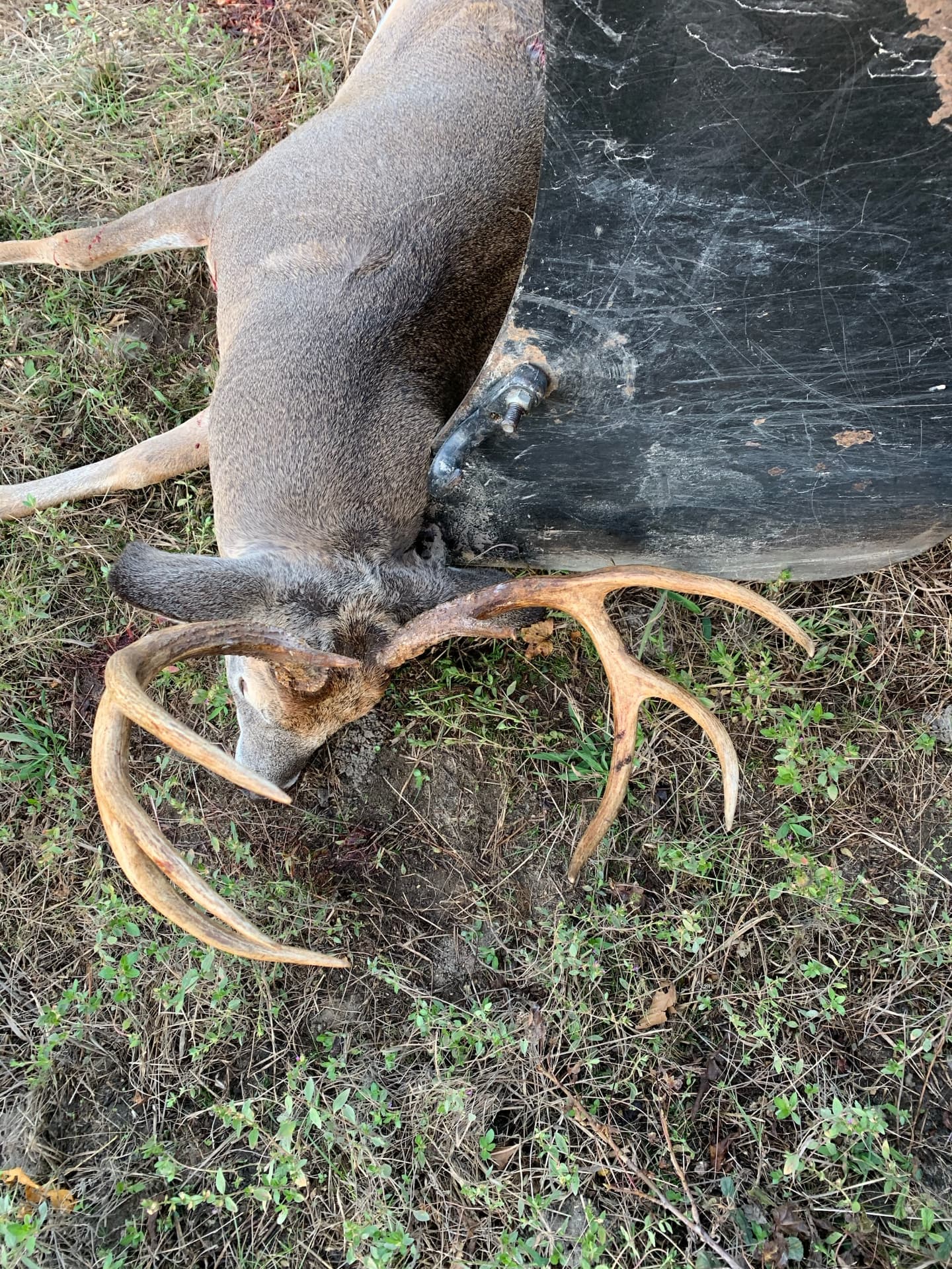 Whitetail buck taken on Trigger Bow Ranch in Taylor County, Georgia
